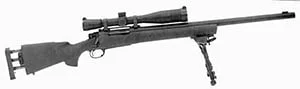 sniper m24