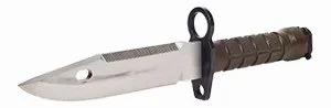 bayonet frincon